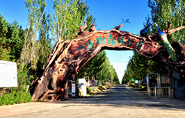 一马树森林公园