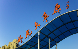 卧虎大草原