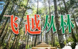 飞跃丛林